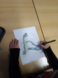 SLUNÍČKA - REKORDY ZVÍŘAT - NEJRYCHLEJŠÍ RYBA PLACETNÍK ATLANSKÝ A HAD MAMBA - LISTOPAD 24-25