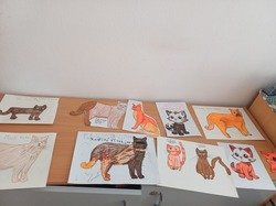 OPIČÁCI - REKORDY ZE SVĚTA ZVÍŘAT - NEJMENŠÍ A NEJVĚTŠÍ KOČKY - KVĚTEN 24-25