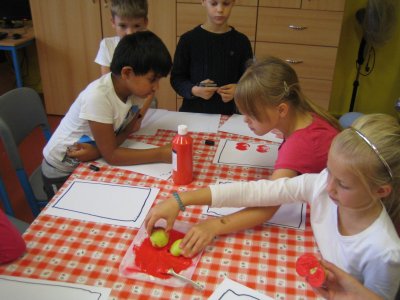 Obrázek galerie - 
