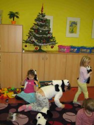 Obrázek galerie - 