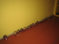 Obrázek galerie - 