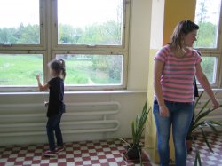 Obrázek galerie - 