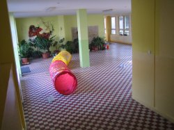 Obrázek galerie - 