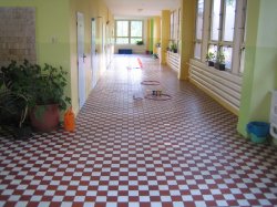 Obrázek galerie - 