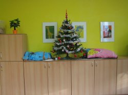 Obrázek galerie - 
