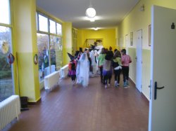 Obrázek galerie - 