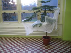 Obrázek galerie - 