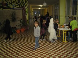 Obrázek galerie - 