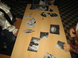 Obrázek galerie - 
