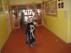 Obrázek galerie - 