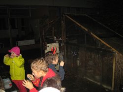 Obrázek galerie - 
