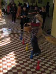 Obrázek galerie - 