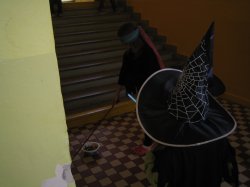 Obrázek galerie - 