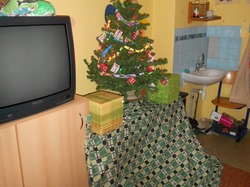 Obrázek galerie - 