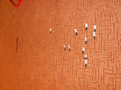 Obrázek galerie - 