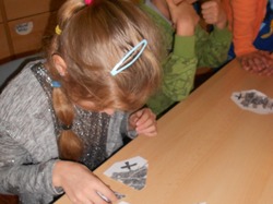 Obrázek galerie - 
