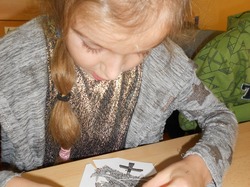 Obrázek galerie - 