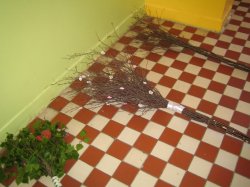 Obrázek galerie - 