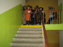 Obrázek galerie - 