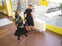 Obrázek galerie - 