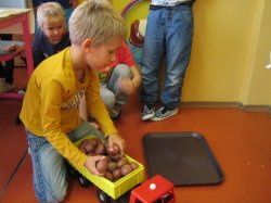 Obrázek galerie - 