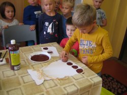 Obrázek galerie - 