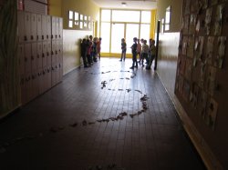 Obrázek galerie - 