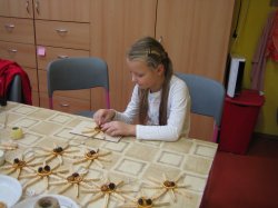 Obrázek galerie - 