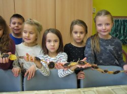 Obrázek galerie - 