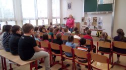 Obrázek galerie - 