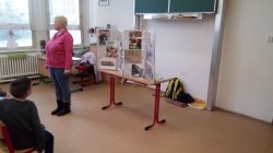 Obrázek galerie - 