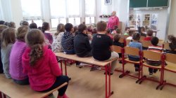 Obrázek galerie - 