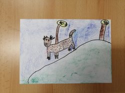 Obrázek galerie - 