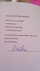 Obrázek galerie - 