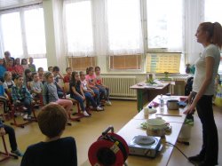 Obrázek galerie - 