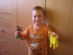 Obrázek galerie - 