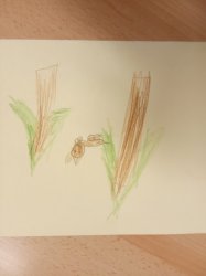 Obrázek galerie - 