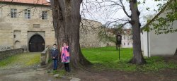Obrázek galerie - 