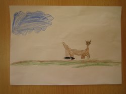 Obrázek galerie - 