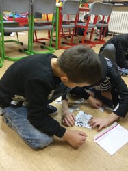 Obrázek galerie - 