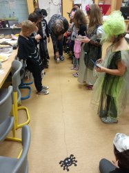 Obrázek galerie - 