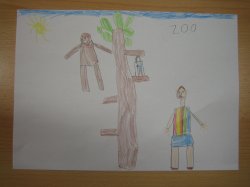 Obrázek galerie - 