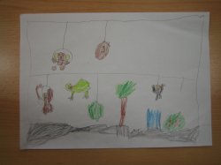 Obrázek galerie - 