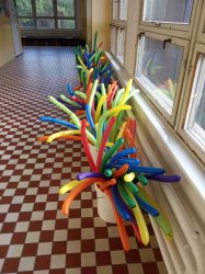 Obrázek galerie - 