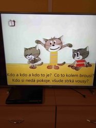 Obrázek galerie - 