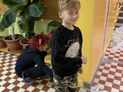 Obrázek galerie - 