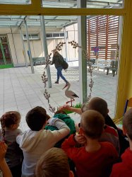 Obrázek galerie - 