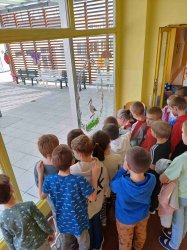 Obrázek galerie - 