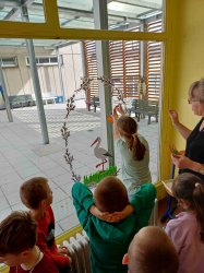 Obrázek galerie - 